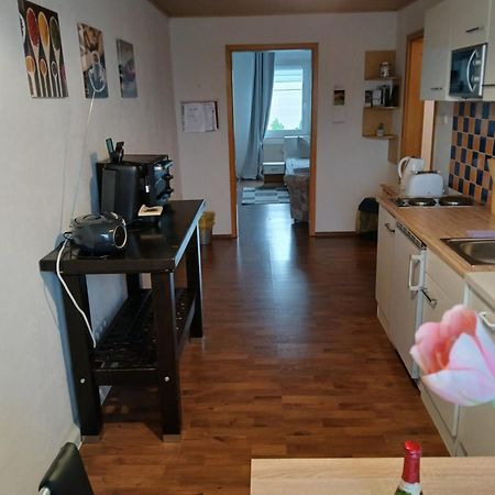 Kleine Wohnung Fuer Monteure Und Dienstreisen Zwickau Dış mekan fotoğraf